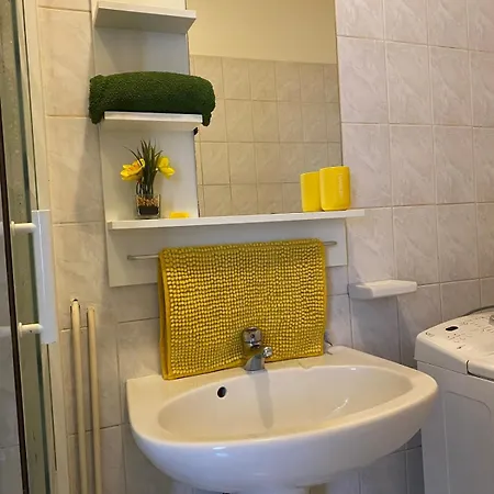 Miroir-arrivee Autonome-animal Ok Apartman Rouen