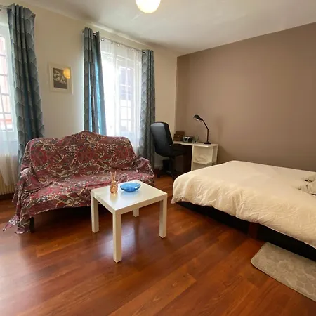 Miroir-arrivee Autonome-animal Ok Apartmán Rouen