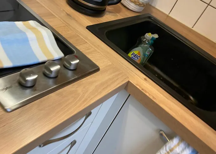 Miroir-arrivee Autonome-animal Ok Apartment *